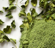 Poudre Moringa - WAAM