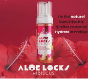 EASY POUSS-ALOE LOCKS HIBISCUS MOUSSE Coiffante Perfection