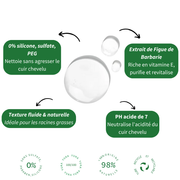 SHAERI-Shampoing Purifiant à la figue de barbarie - Cheveux à tendance grasse 200ML