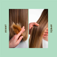 SHAERI-Shampoing Purifiant à la figue de barbarie - Cheveux à tendance grasse 93/100. Note Yuka🥕200ML